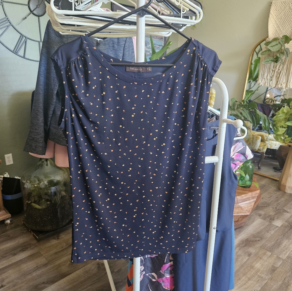 The Limited blouse